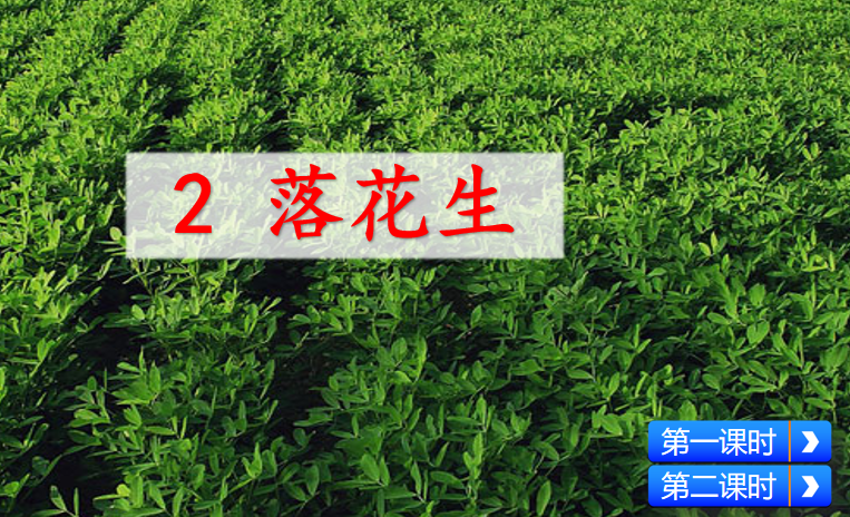 [课件]2 落花生