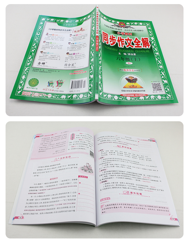 《小学教材同步作文全解》小学二年级下册薛金星小学教材同步作文全解系列电子版