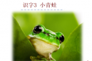 [课件]3.小青蛙